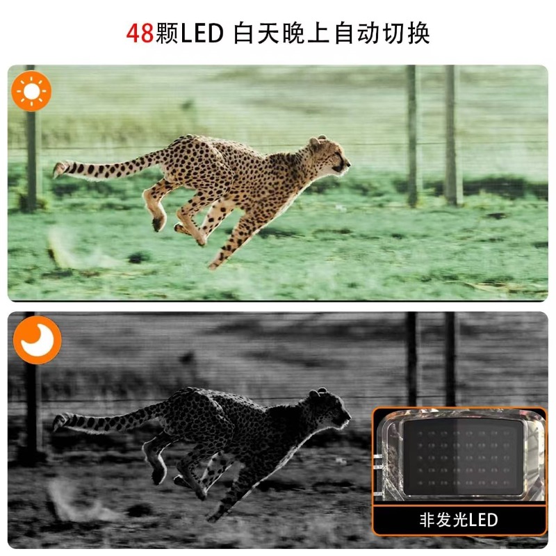 عرض خاص DL001 كاميرا صيد لتتبع - مراجعة Outdoor Hunting Videos وسعره
