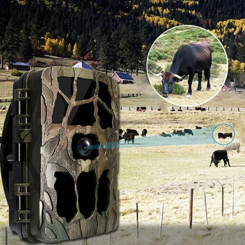 H982 IP66 مقاوم للماء 4K الأشع - مراجعة Outdoor Hunting Videos وسعره